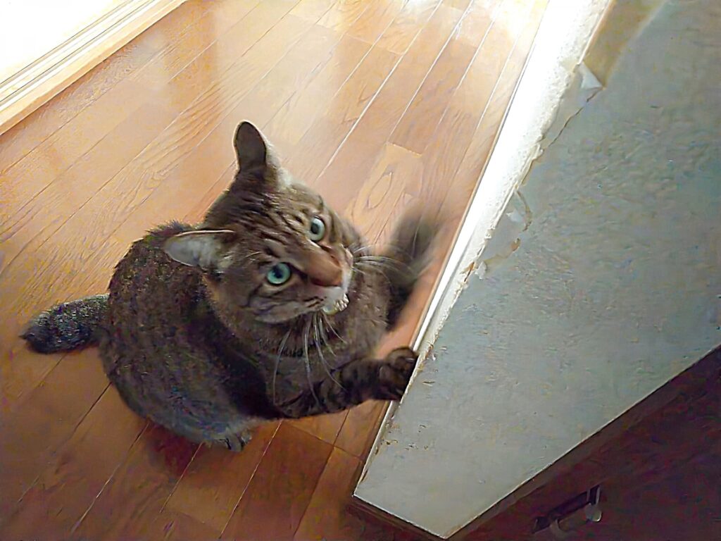 郡山・仙台にある住宅リペア専門のプロ集団|株式会社IKEDA 住宅リペアの紹介まとめイメージ画像