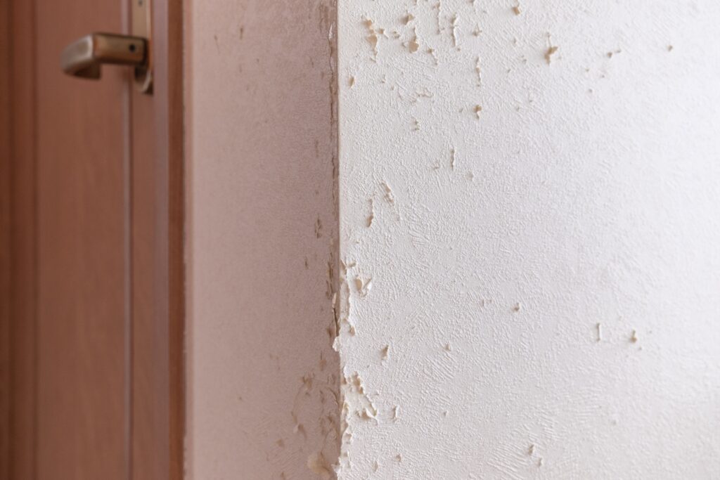 郡山・仙台にある住宅リペア専門のプロ集団|株式会社IKEDA ペットによるクロス傷イメージ画像