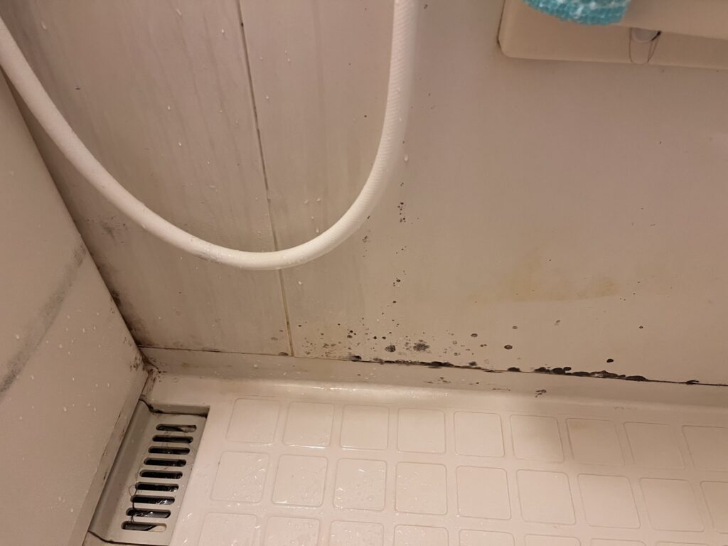 郡山・仙台にある住宅リペア専門のプロ集団|株式会社IKEDA 浴室リニューアル カビの浴室イメージ画像