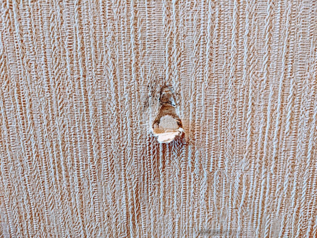 郡山・仙台にある住宅リペア専門のプロ集団|株式会社IKEDA 壁紙キズイメージ画像