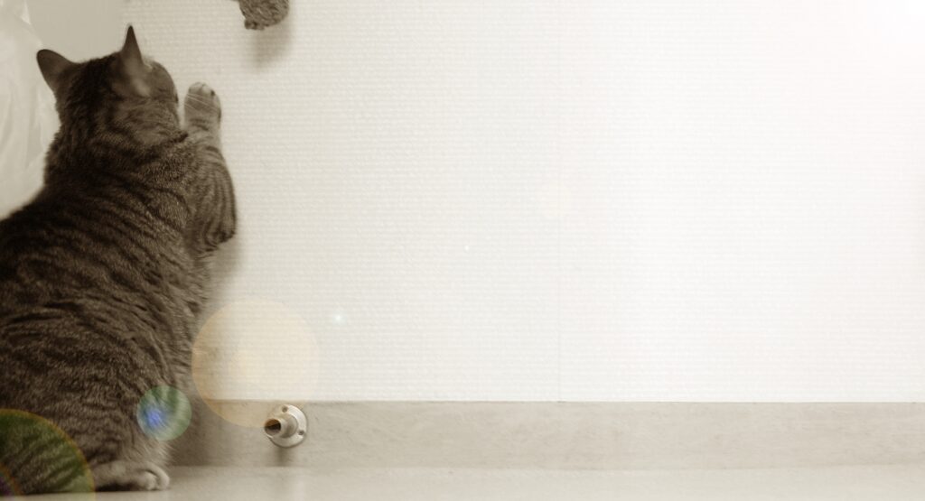 郡山・仙台にある住宅リペア専門のプロ集団|株式会社IKEDA ペットによる壁紙キズイメージ画像