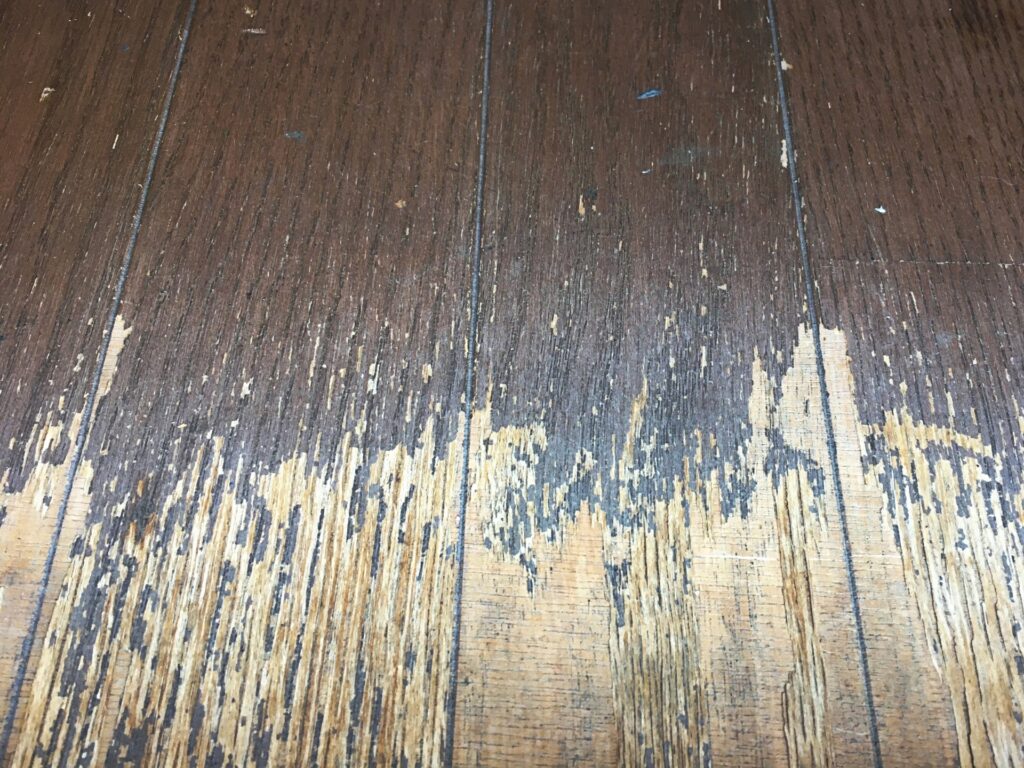 郡山・仙台にある住宅リペア専門のプロ集団｜株式会社IKEDA　「郡山リペアナビ」紹介　床キズイメージ画像